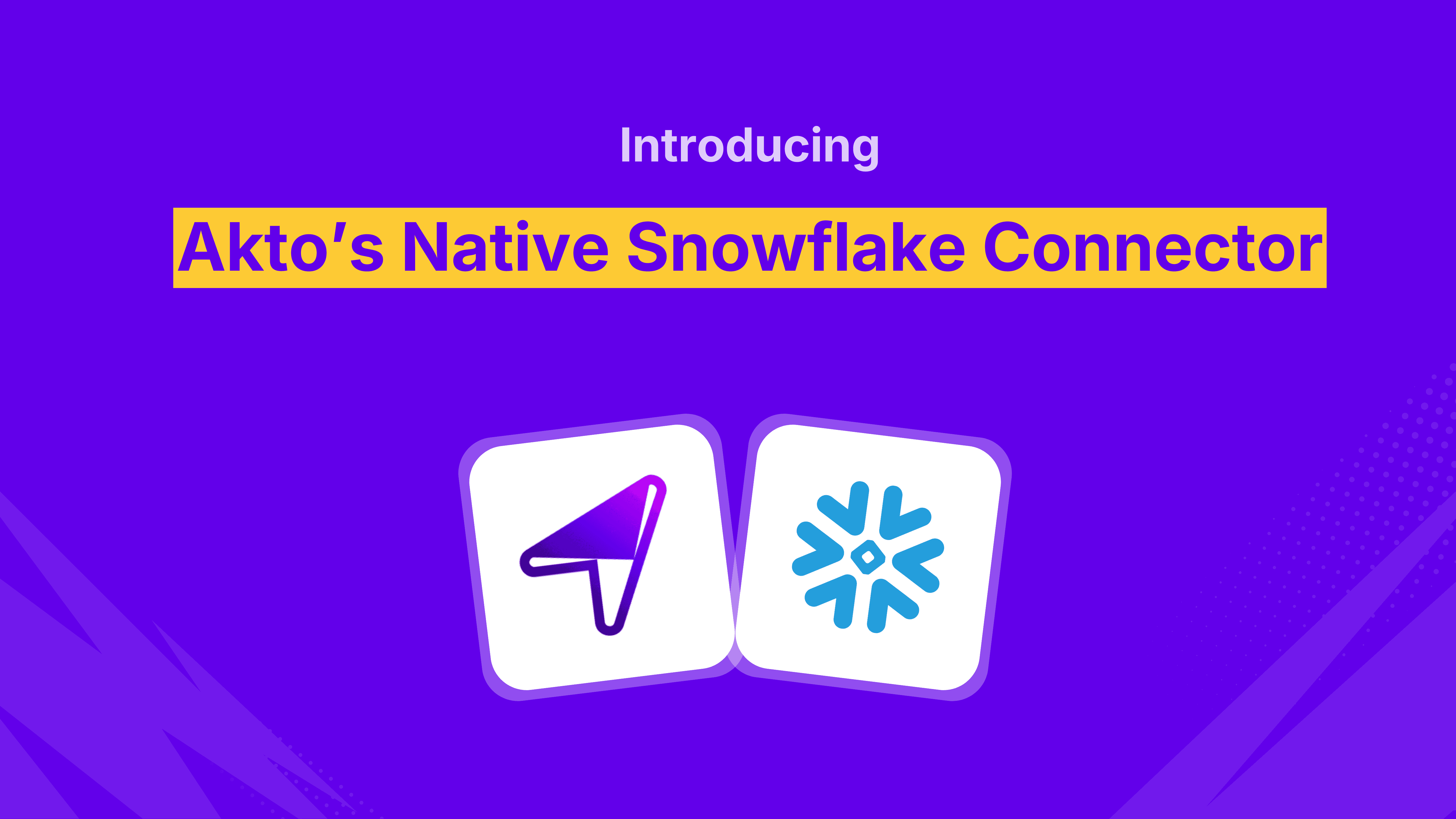 Akto's Native Snowflake Connector