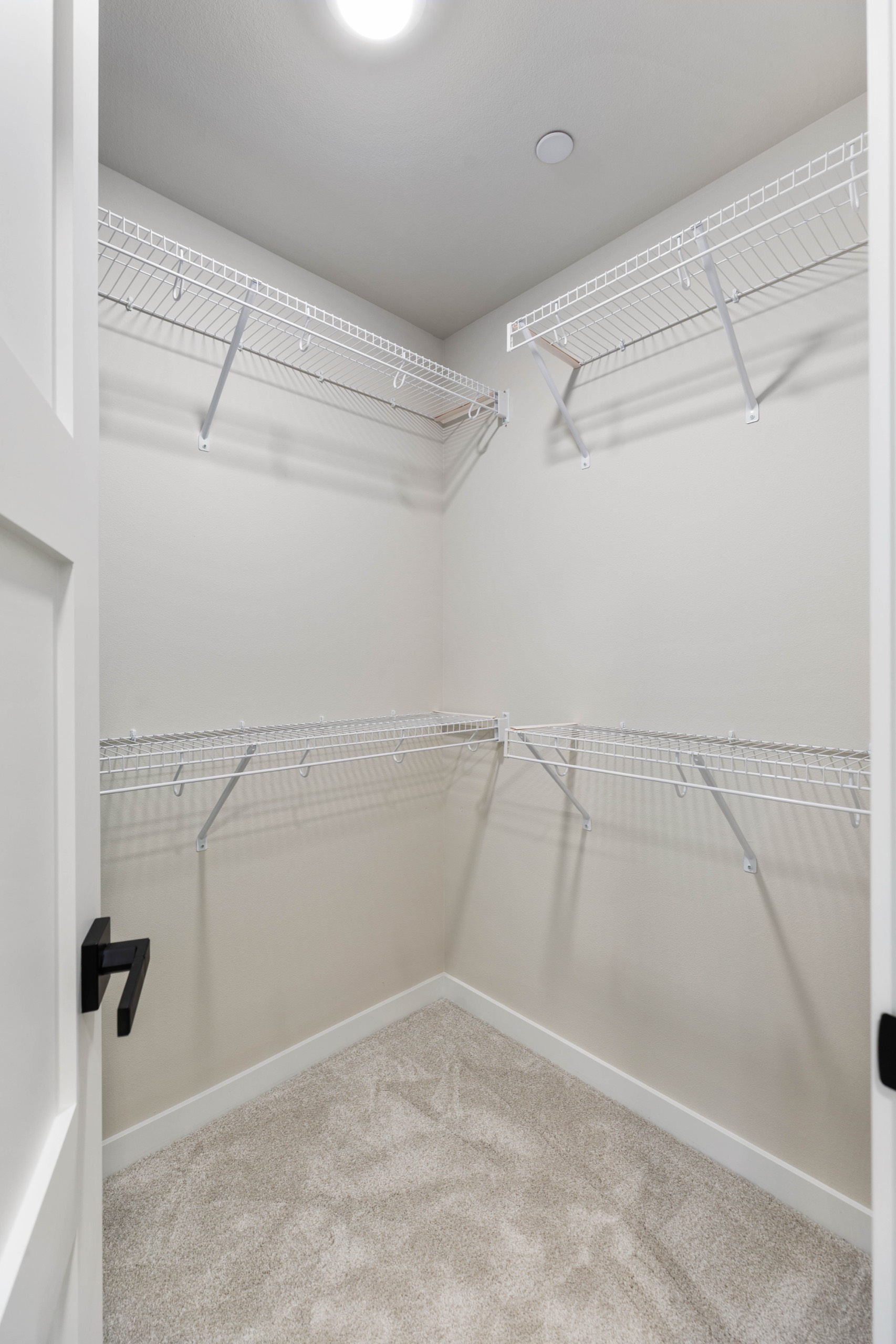 Spacious walk-in closet in a luxury home with custom wire shelving system, plush carpet, recessed ceiling light, and ample storage space