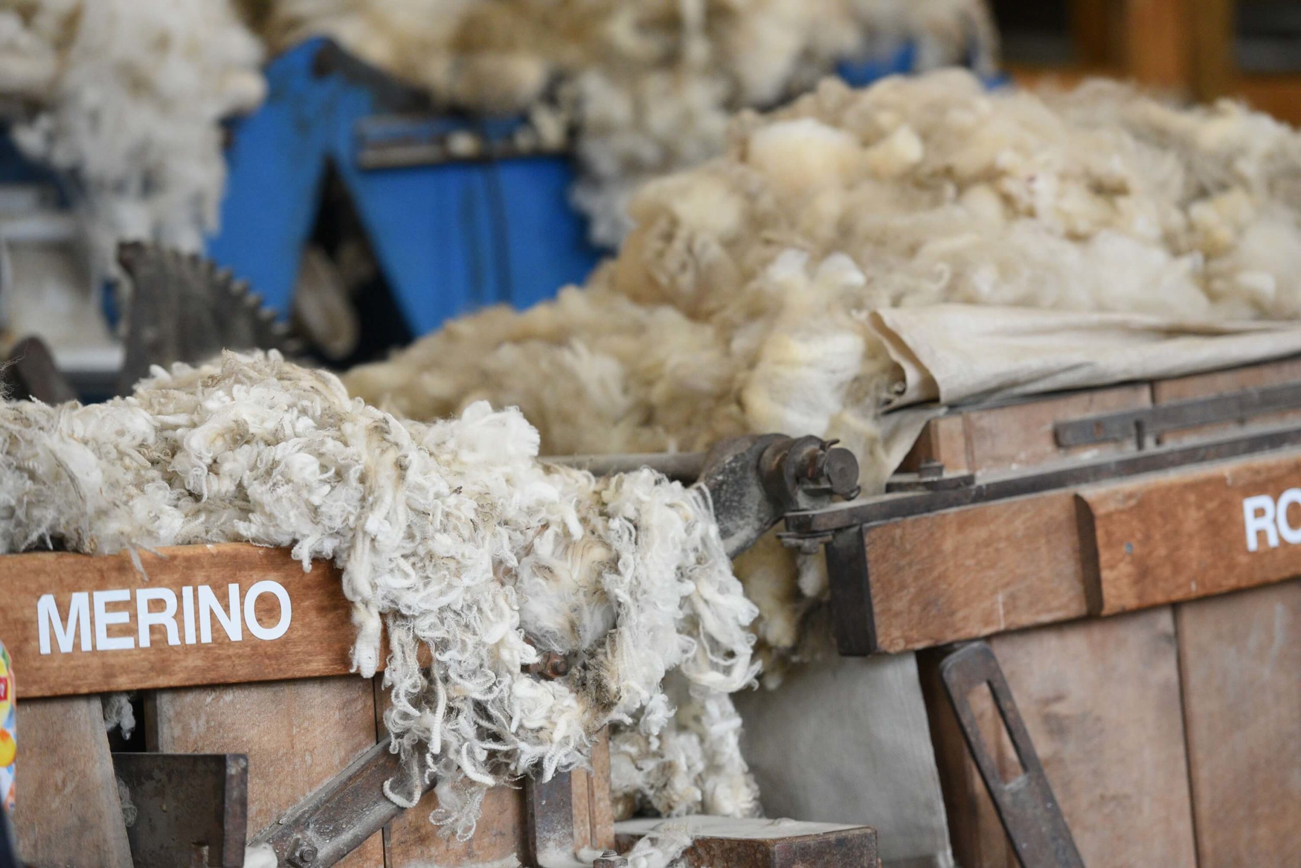 Merino wool demand is rising worldwide — from runways to sportswear. Discover the performance, sustainability and market forces driving Merino’s comeback.