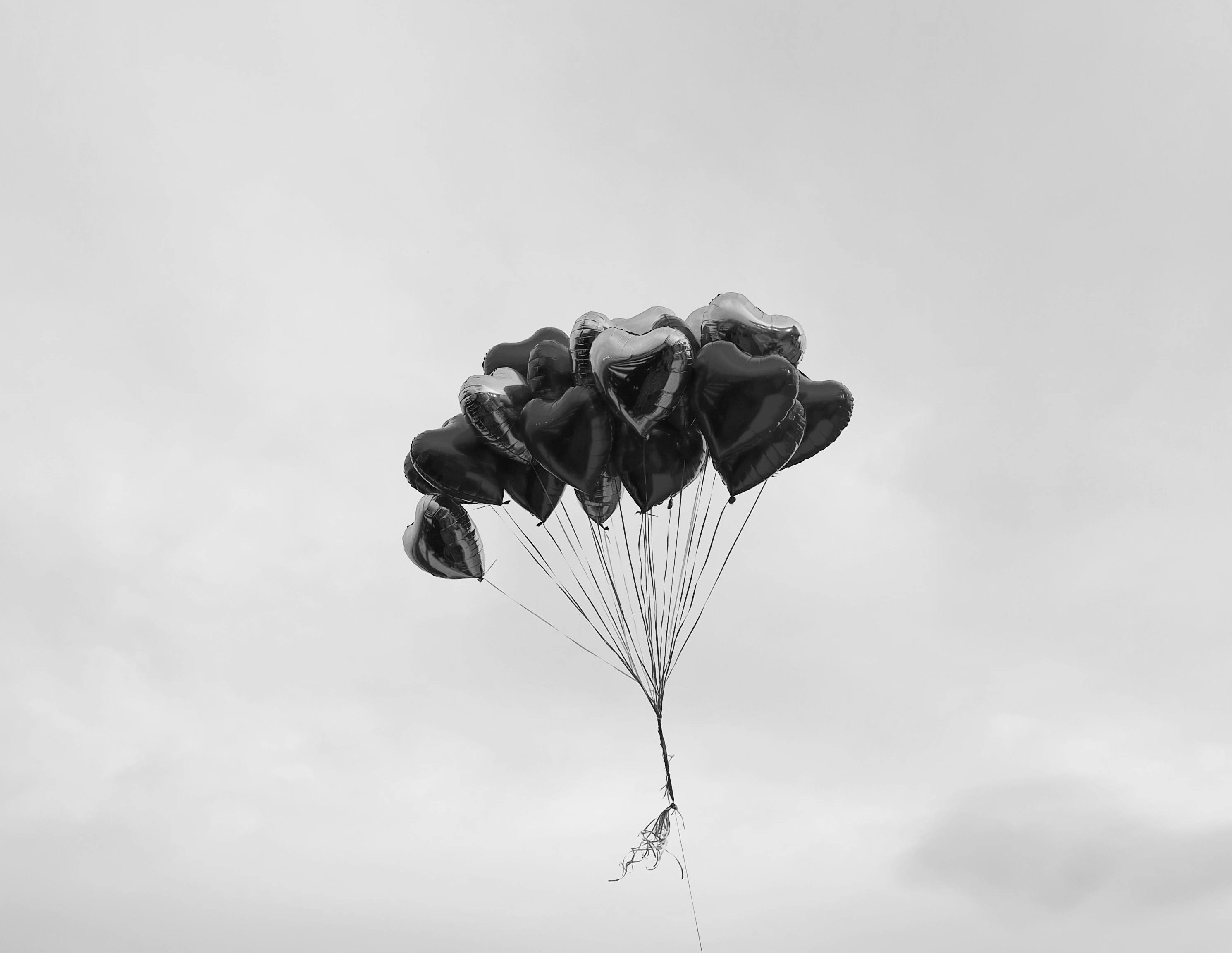 Goldfish jumping out of the water bowl