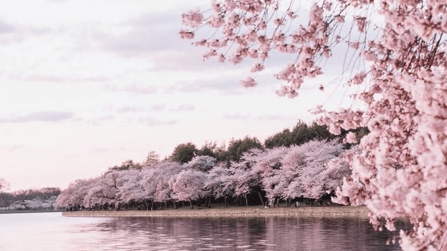 March Sales Contest Names