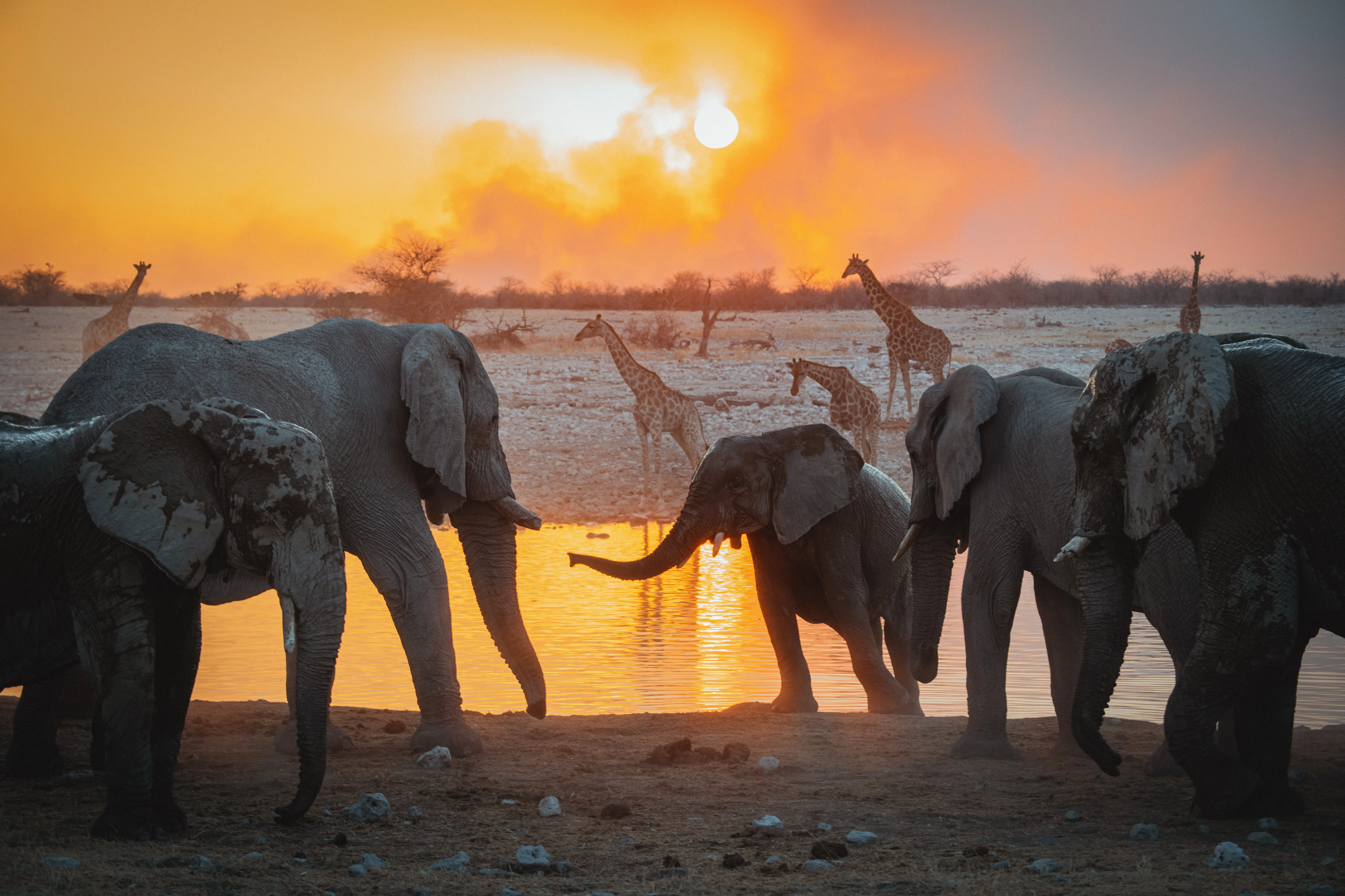 Photographie de voyage et de paysage par Steven Lehr