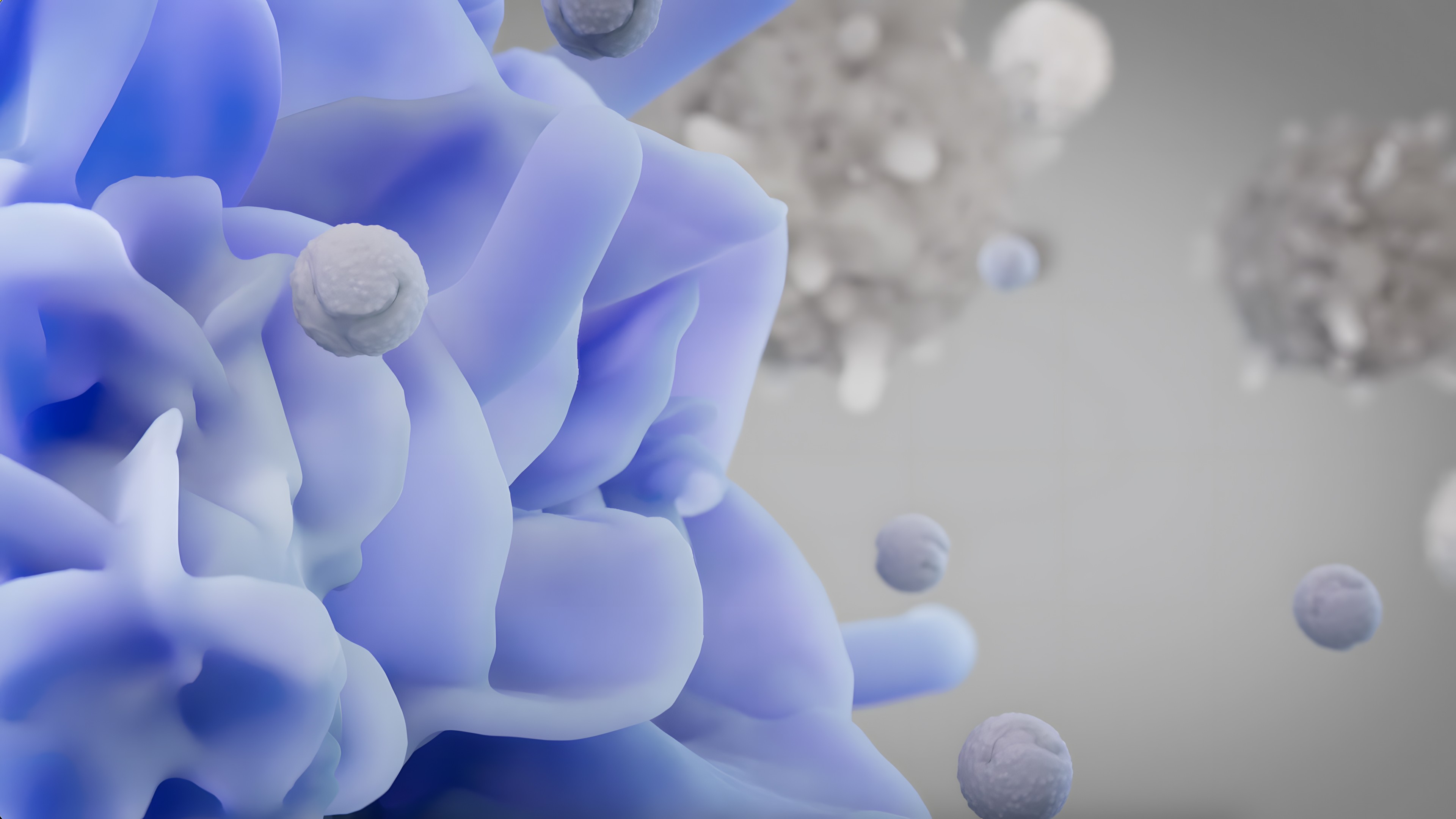 Close-up visualization of the dendritic cell interacting with the TARA-002 particles