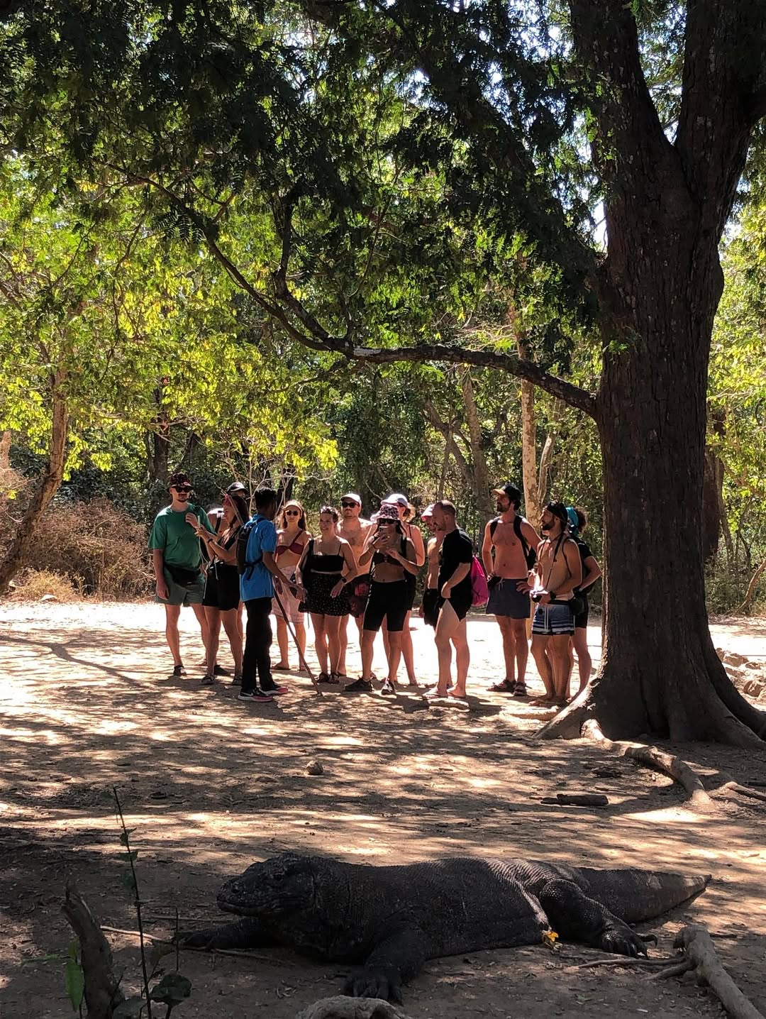 A perfect Labuan Bajo vacation for friends and families