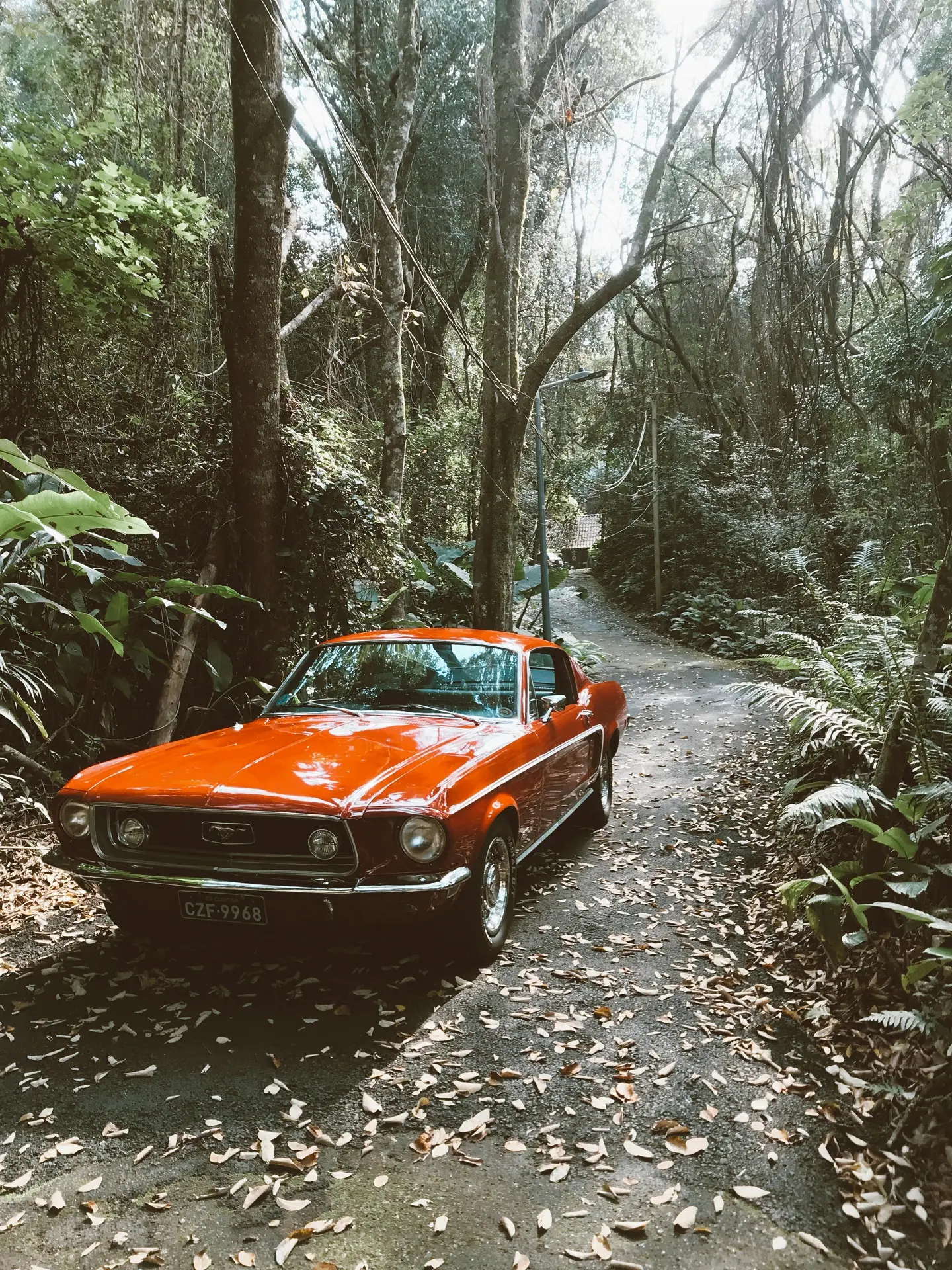 Iconic Ford Mustang Fastback, a vintage symbol of strength and style — reborn through European craftsmanship and eco-conscious upgrades.
