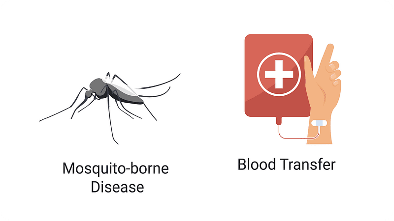 blood transfer mosquito