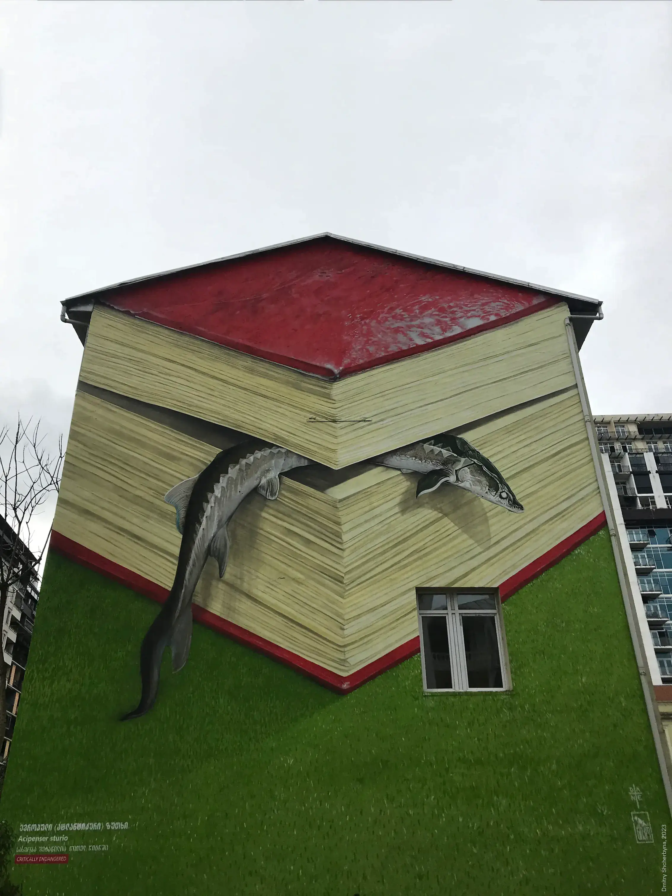 A trompe-l'oeil mural transforming a building's corner into a giant red book with yellowed pages, with a sturgeon fish emerging from between the pages. Text in Georgian and English identifies the species as "Acipenser sturio" and labels it "CRITICALLY ENDANGERED."