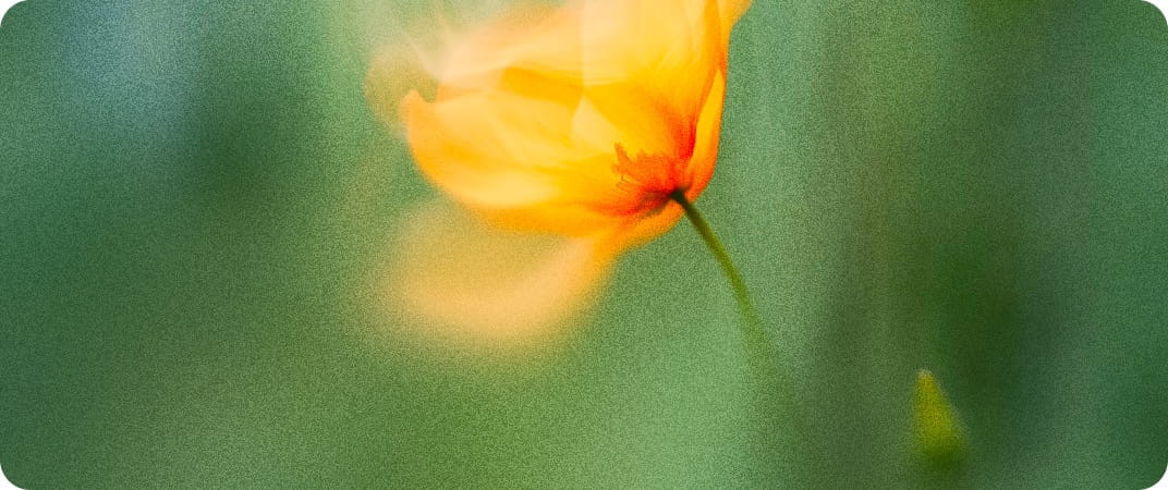 Marketingstrategie Beratung