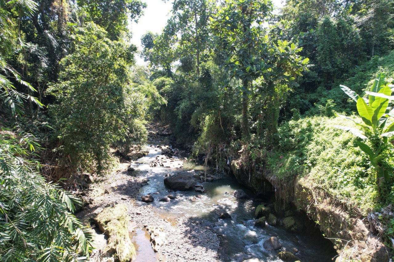 3700 m² Freehold land plot with canyon in Tabanan, Kaba Kaba