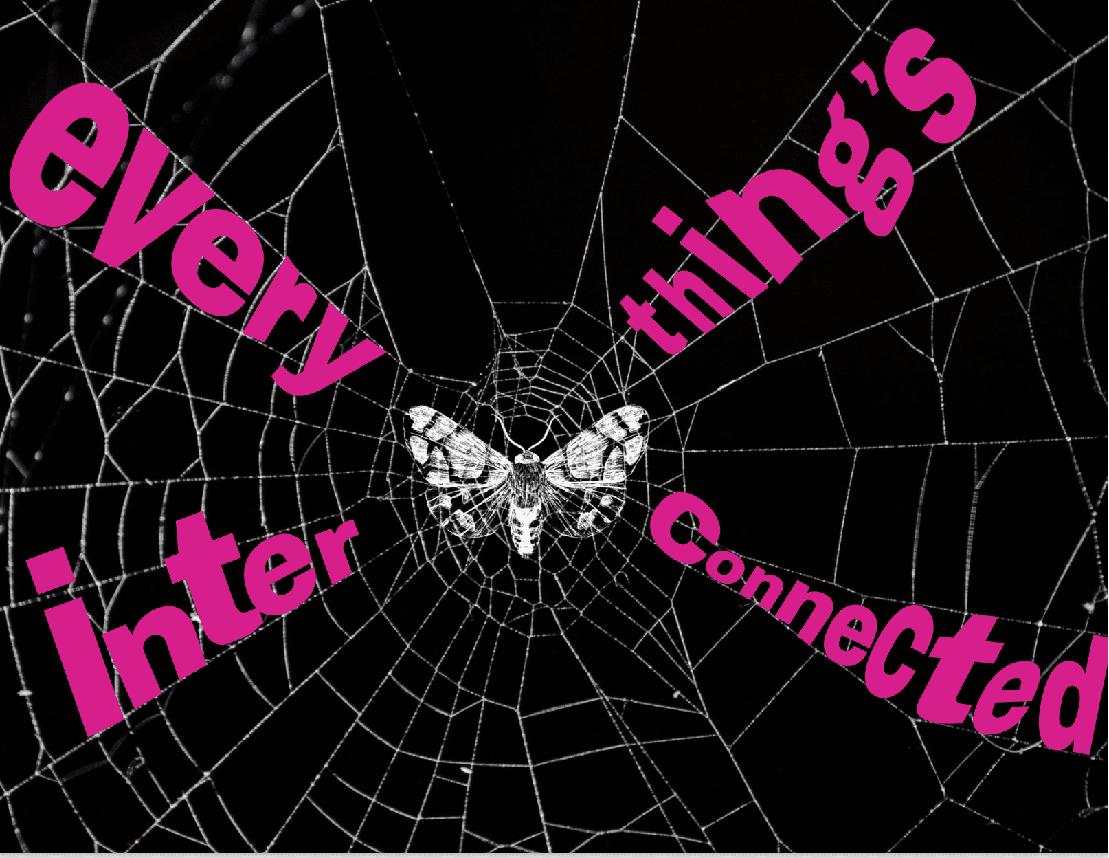 Everything's interconnected