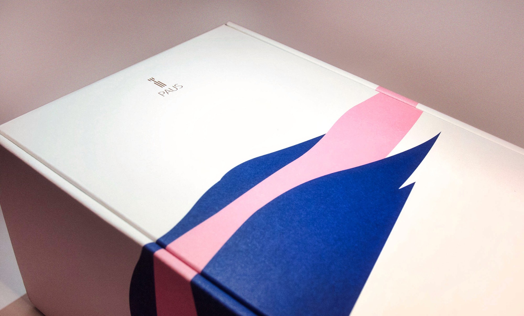 這張圖像展示了PAUS的包裝設計,盒子上有簡約的PAUS識別和抽象的藍色和粉紅色風景圖案。