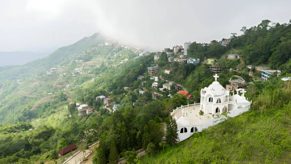 Tripura Coffee Plantations.webp