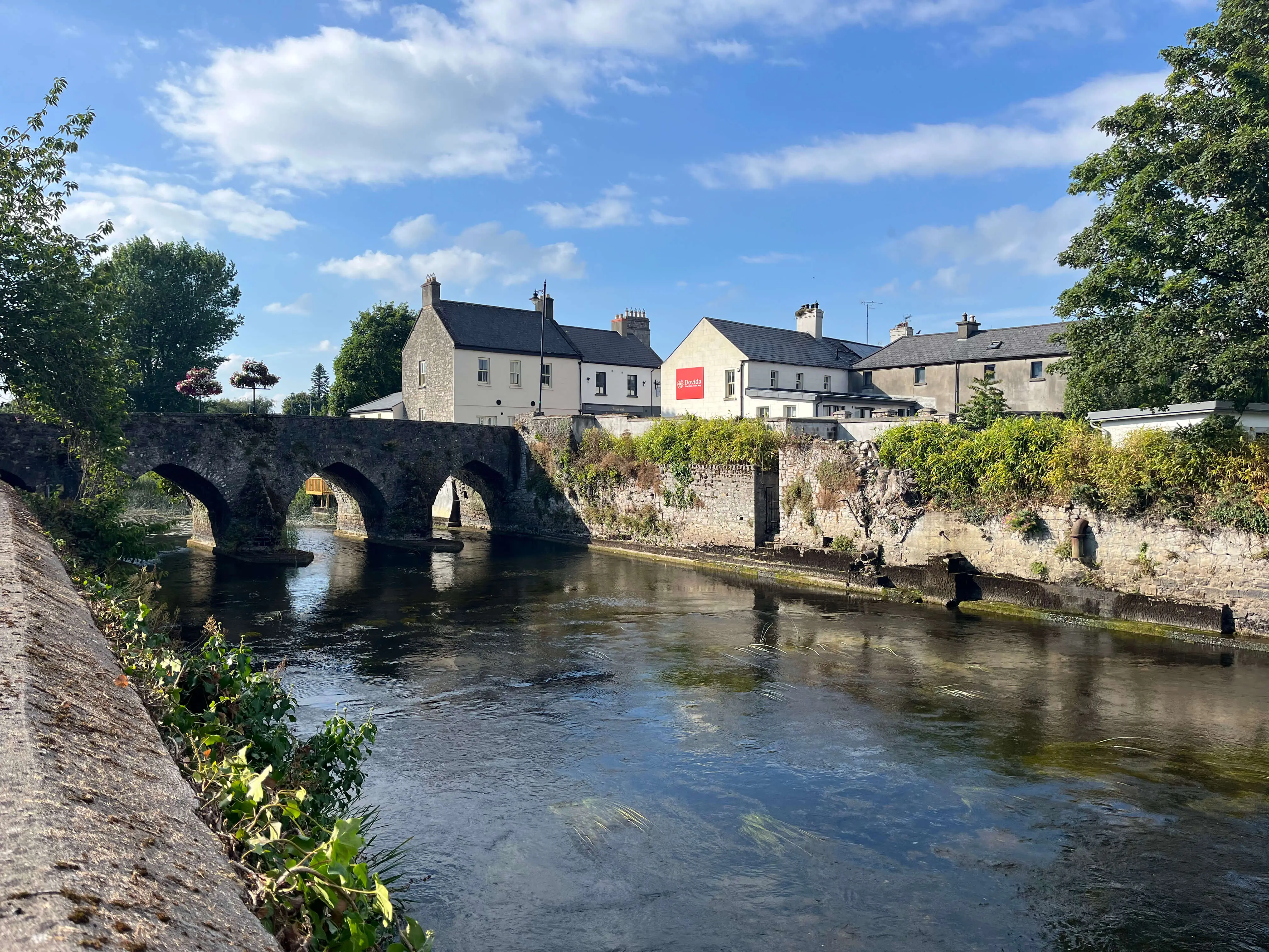 The River Boyne running through weed beds below Trim Castle, Ireland