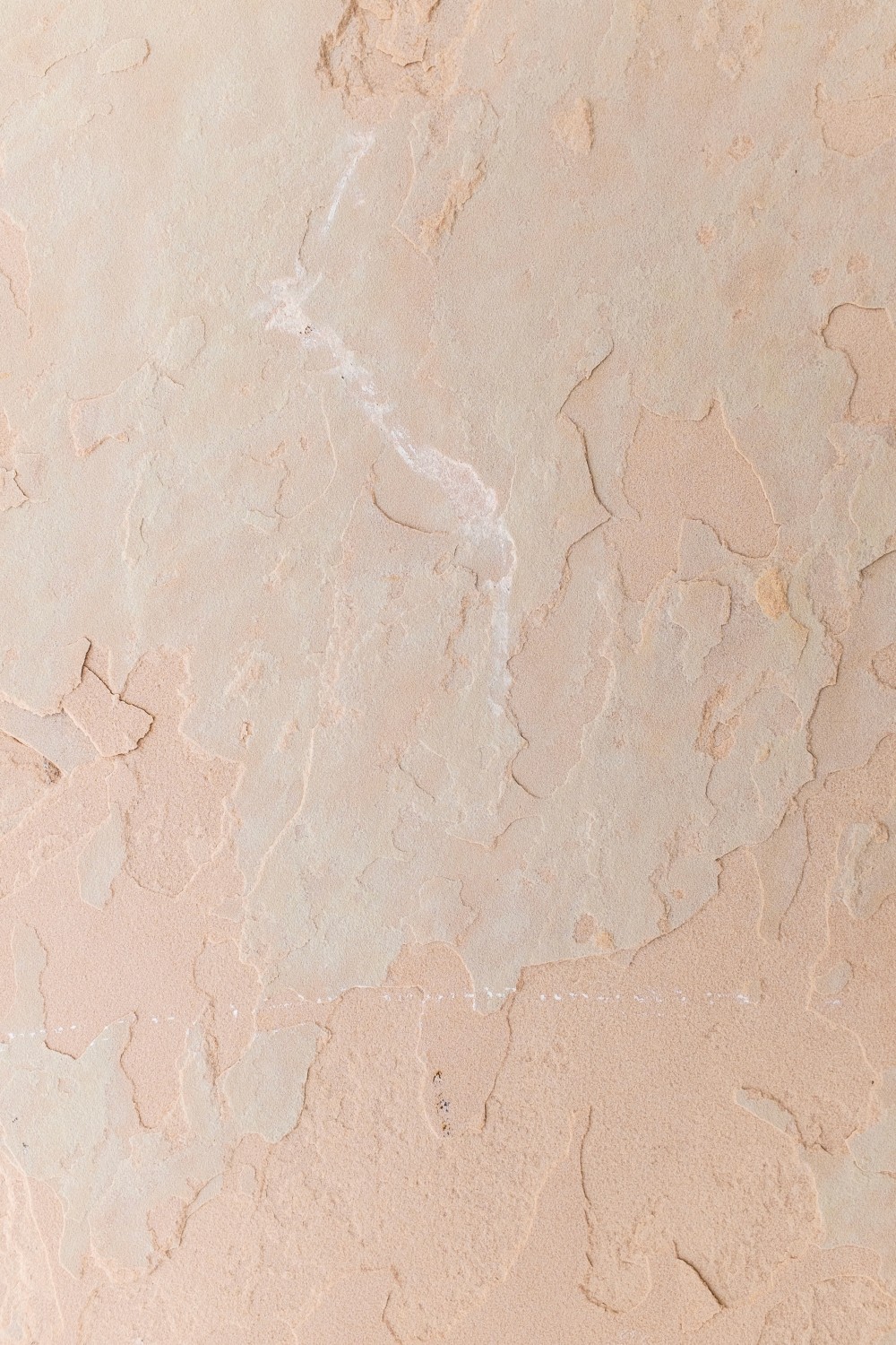 brain fog support hormonal changes support