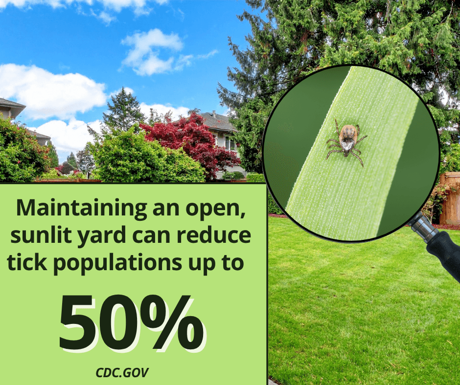 Yard maintenance and ticks