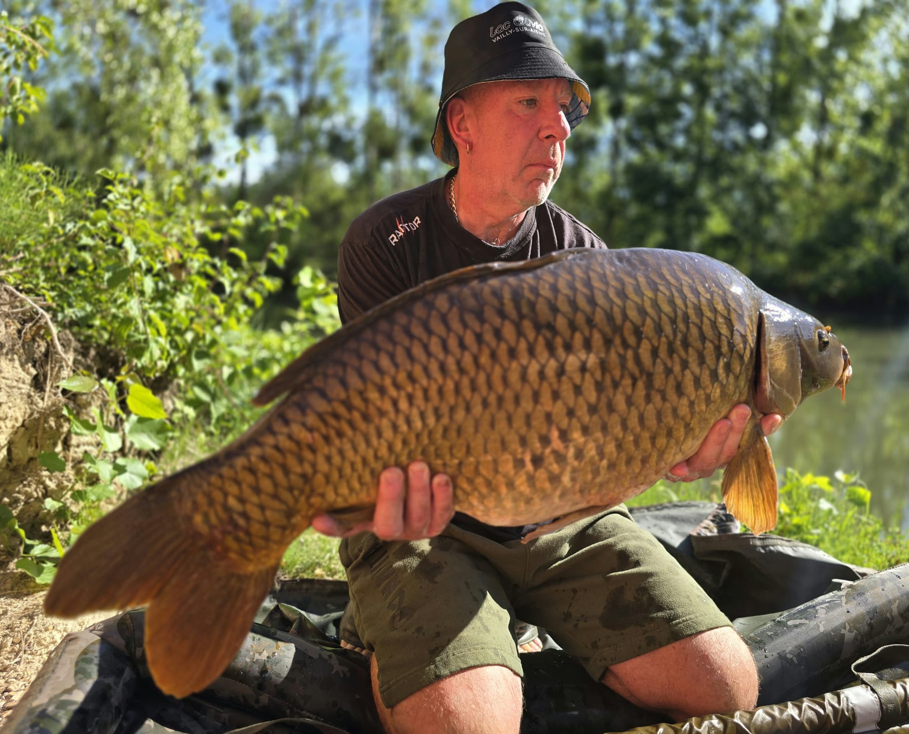 Carp catch