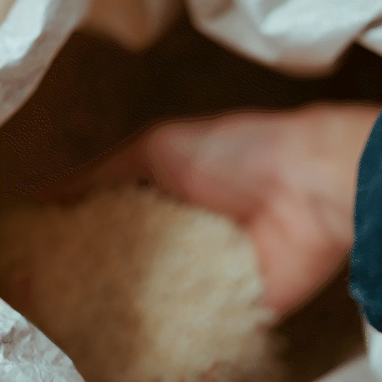 A hand sifting through a bag of raw VIVOMER pellets. After extraction from the microbes, these natural polymers are formulated into a drop-in replacement material, ready to be shaped using existing plastic manufacturing equipment for scalable, microplastic-free production.