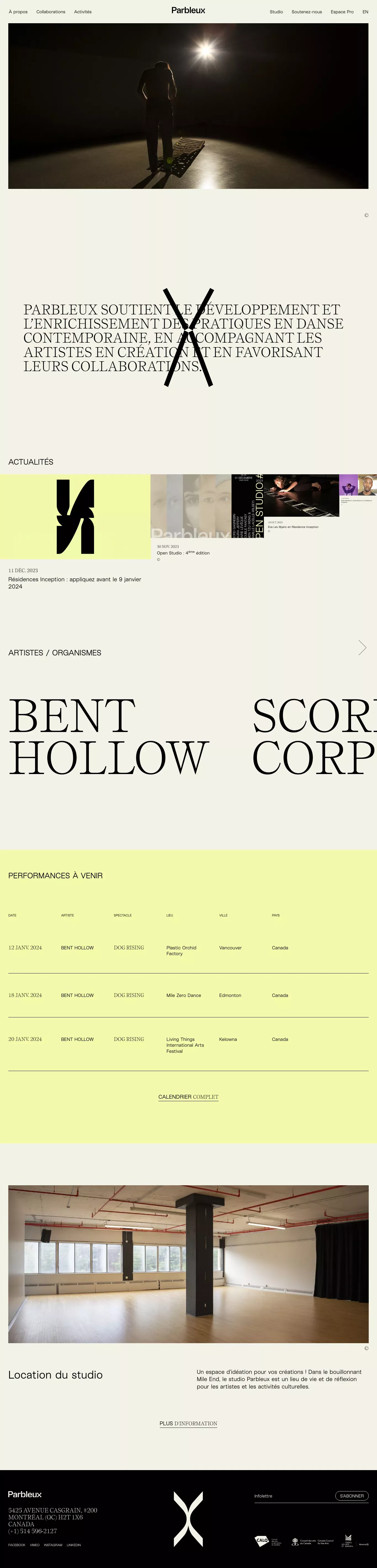 Parbleux portfolio page screenshot showcasing Art design