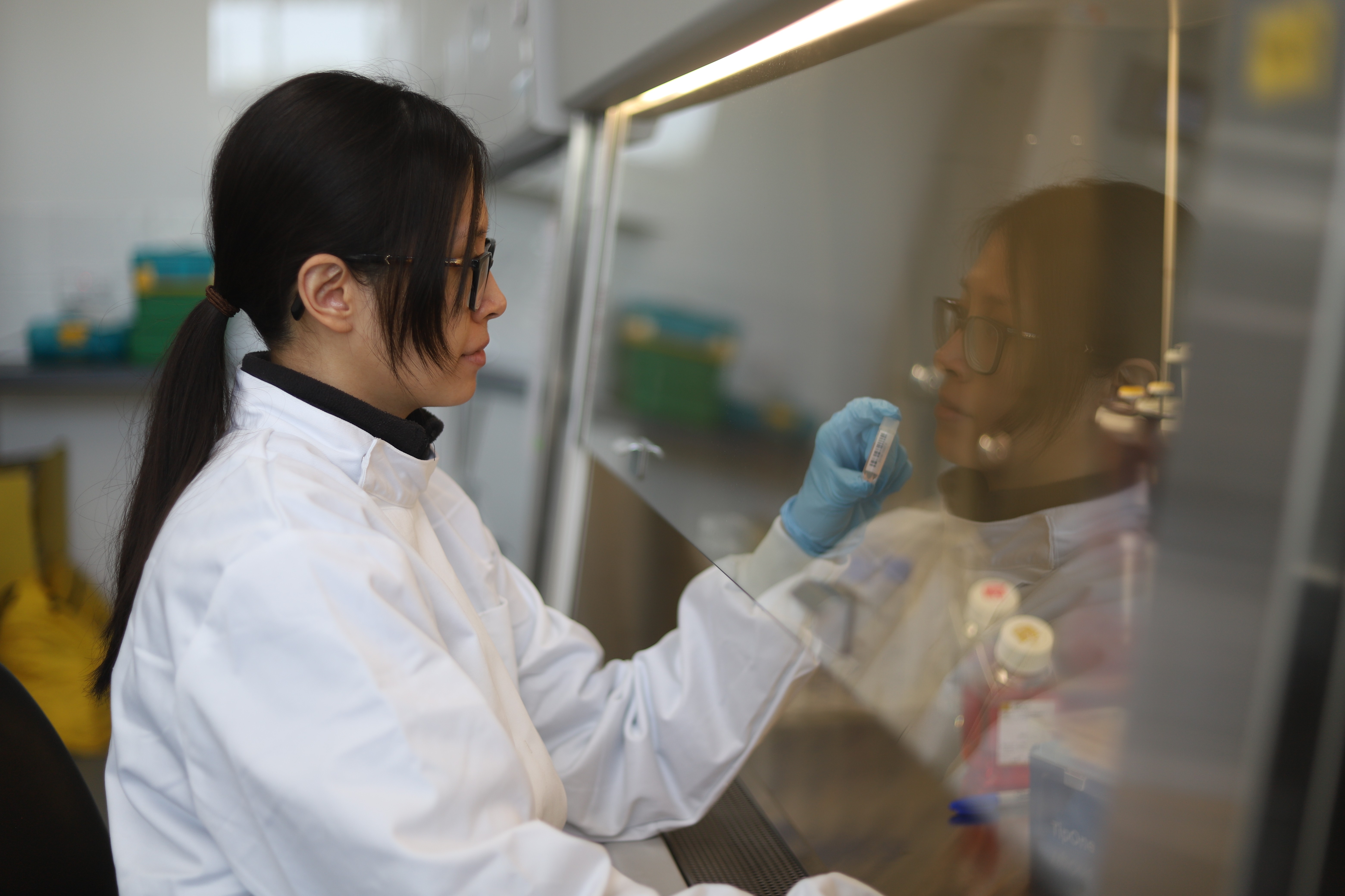 A scientist wearing a white lab coat and blue gloves works in a laboratory safety cabinet, carefully examining a labelled sample tube. Reflected in the glass, her focused expression is visible as laboratory equipment and supplies sit on the counter beside her.