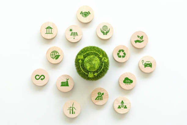 🌱 🌍 Preservar o Meio Ambiente é prioridade! 🌱