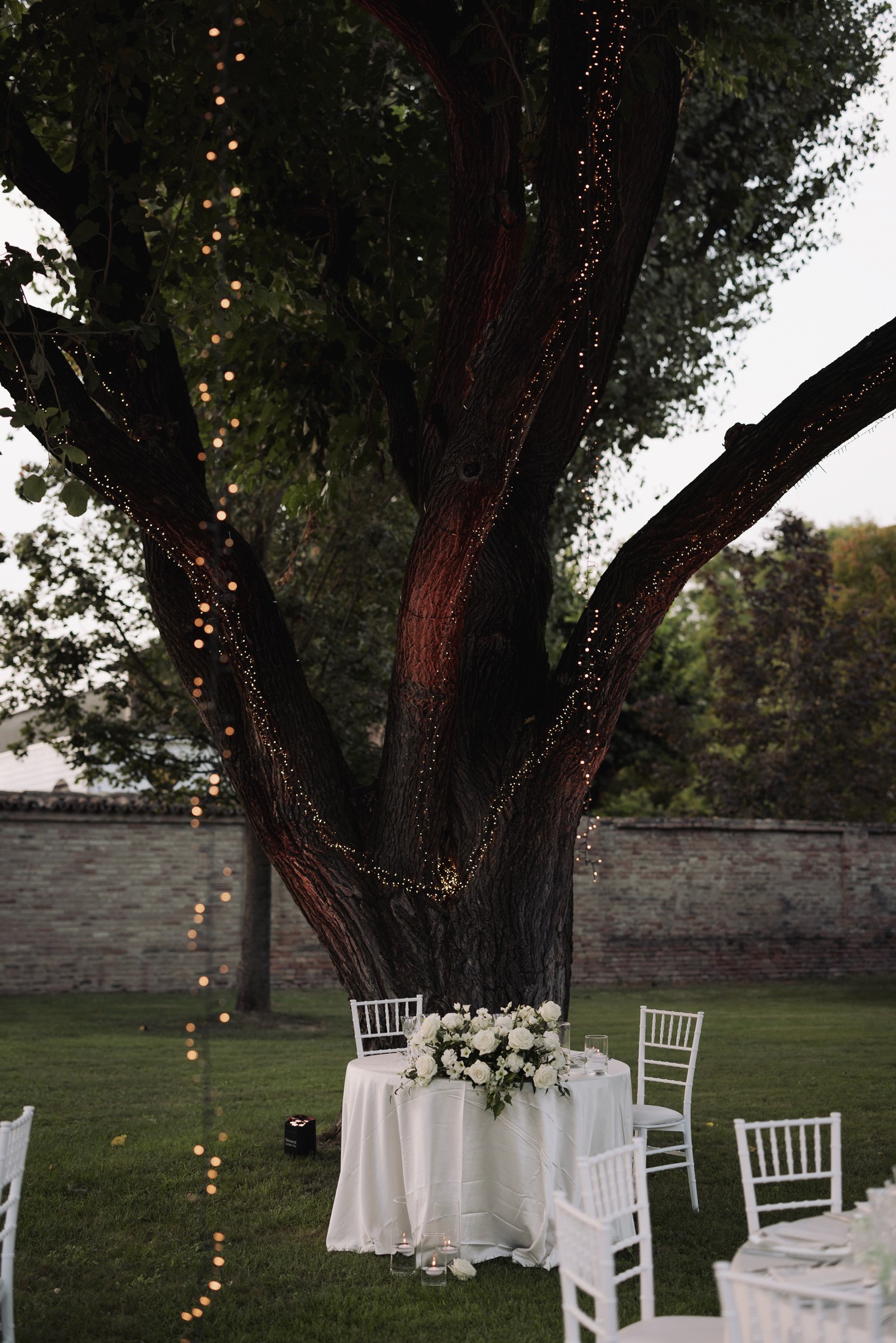 Tavolo rotondo con fiori bianchi sotto albero illuminato, allestimento ricevimento matrimonio a Villa Negri