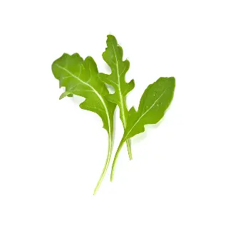 Arugula