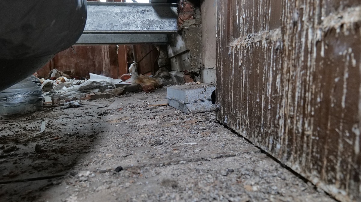 Old Large rodent trap inspection in depricated apartment