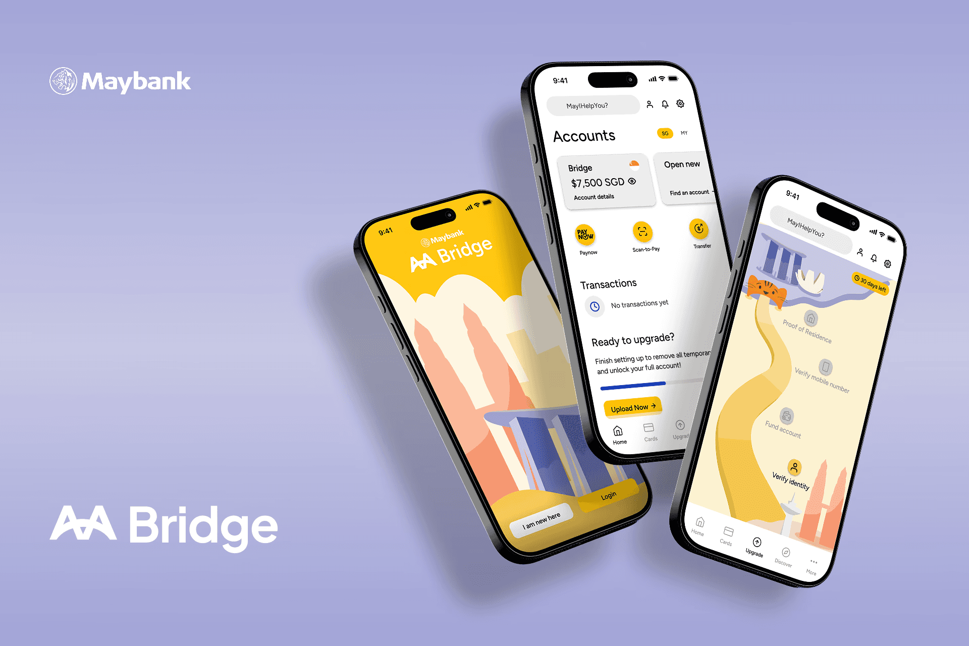 Bridge hero image.