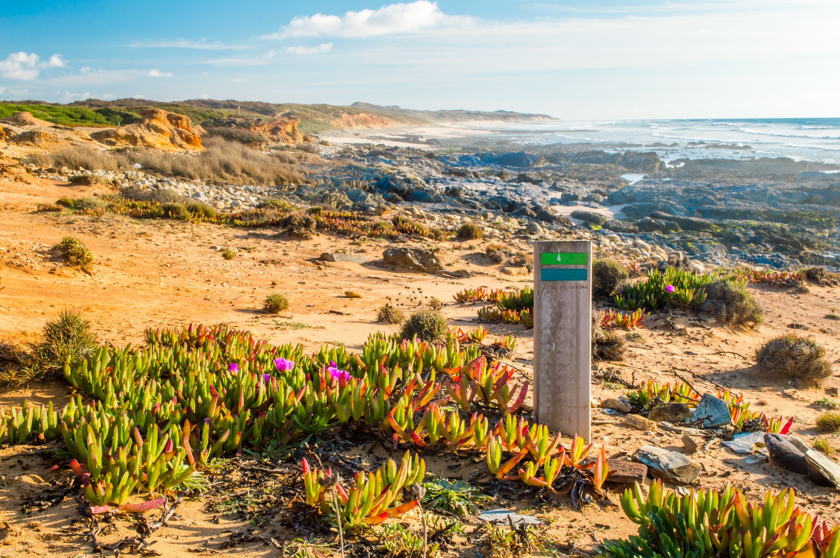 A wooden waymarker on Portugal's Fisherman's Trail is backdropped by a rugged beach strewn with rocks and shrubbery.