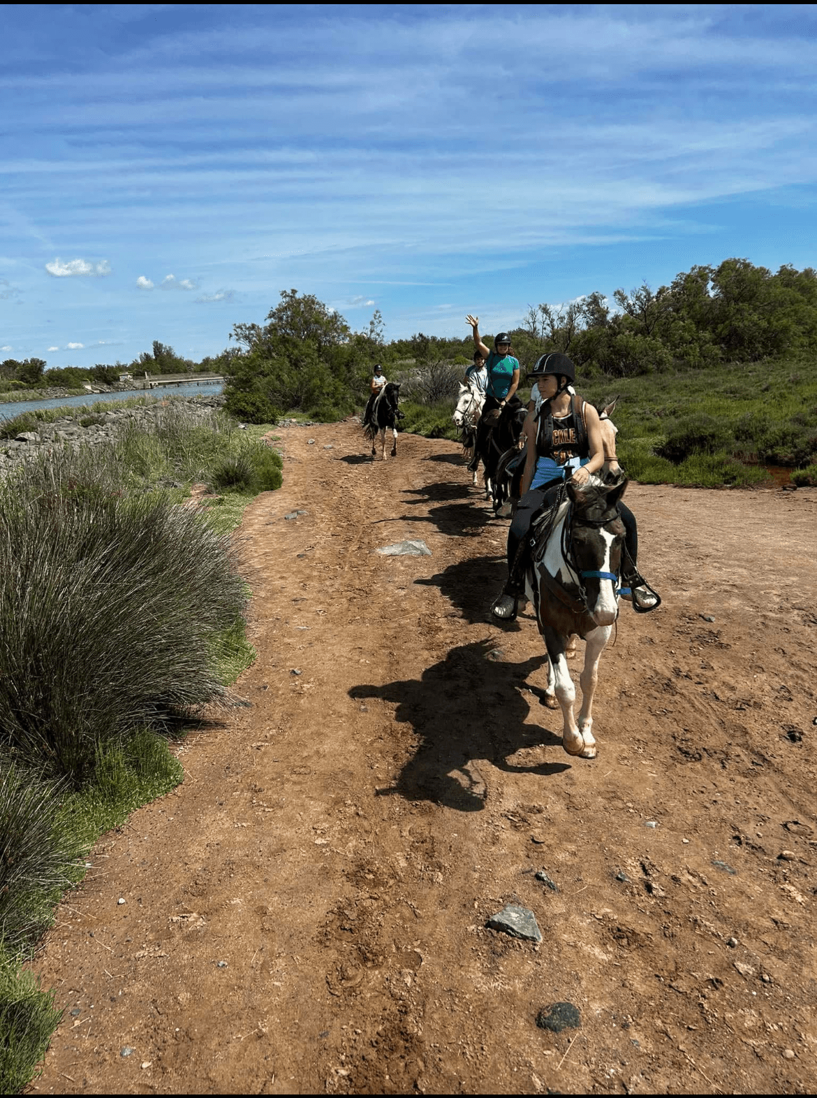 Cavalière en balade sur un chemin de sable se dirigeant vers la nature sauvage de l'Hérault