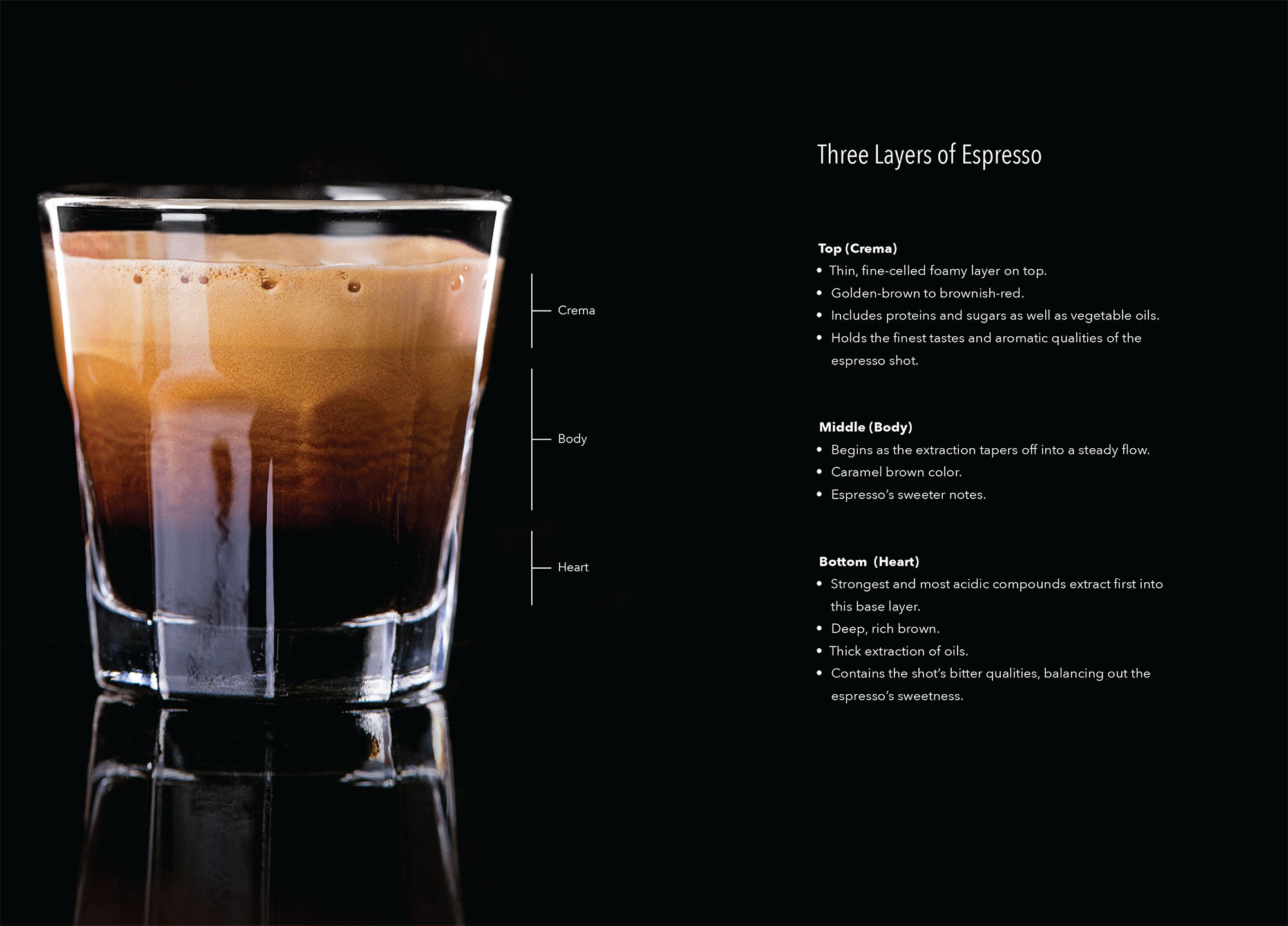 Grindmaster-Cecilware Espresso Field Guide Three Layers of Espresso