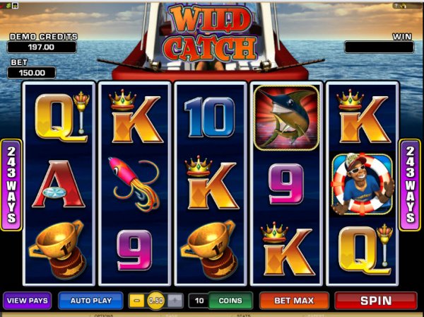 Wild Catch - aperçu des rouleaux