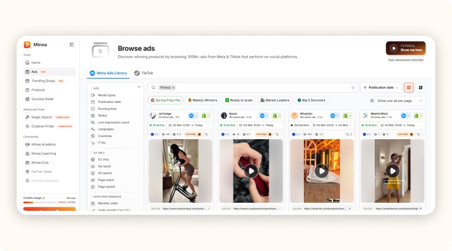 Tableau Minea affichant publicités Meta et TikTok pour produits fitness.