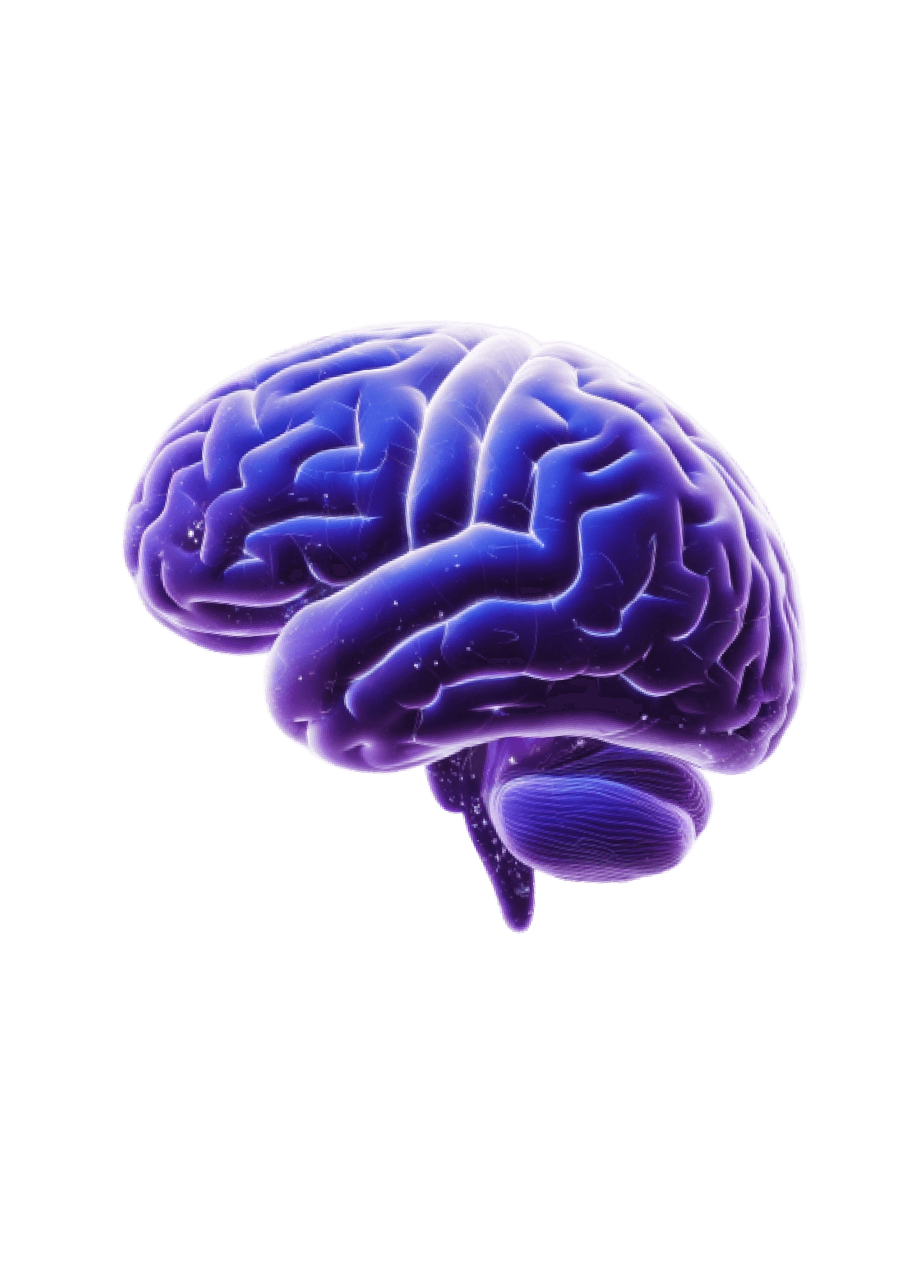 Neurological depiction of a brain