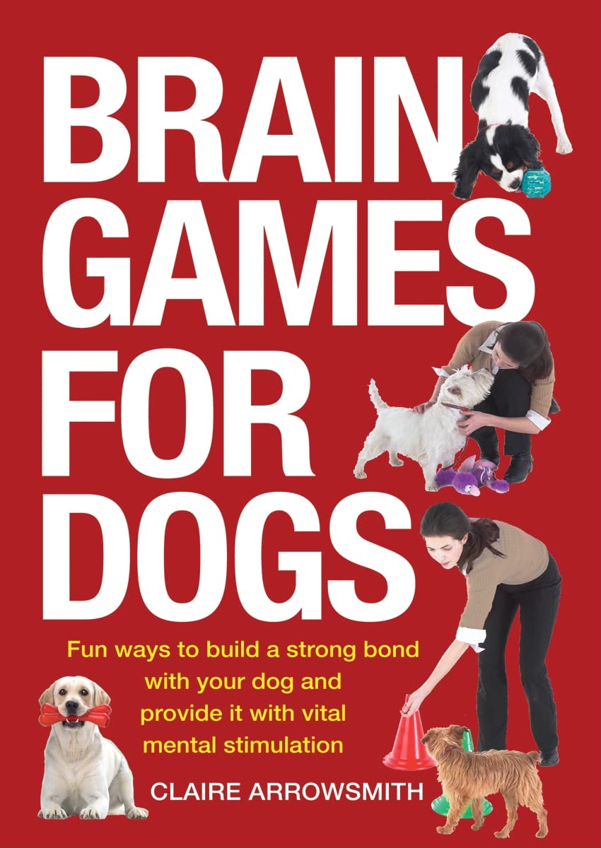 BUDDYUNO, dog games, smart dogs, brain games