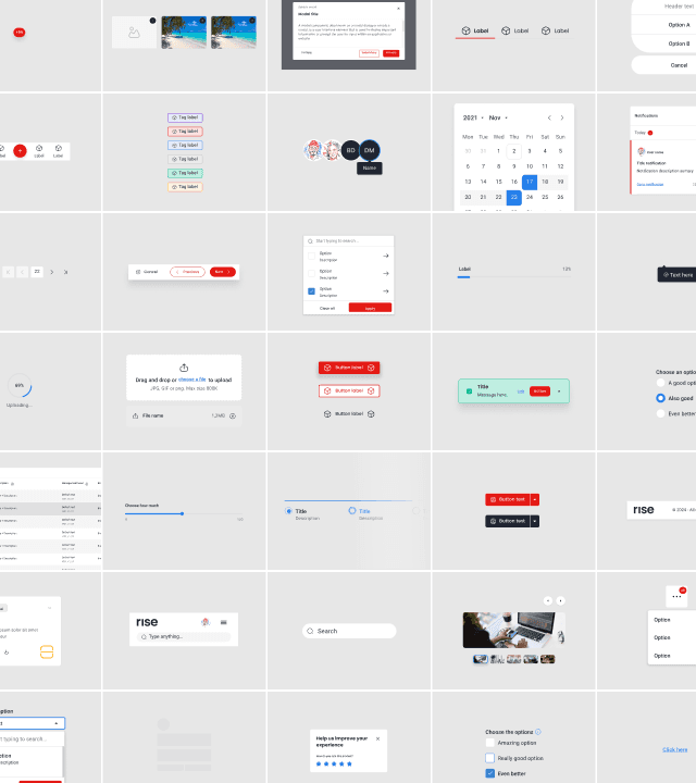 Preview of the RISE design system — component library thumbnails.