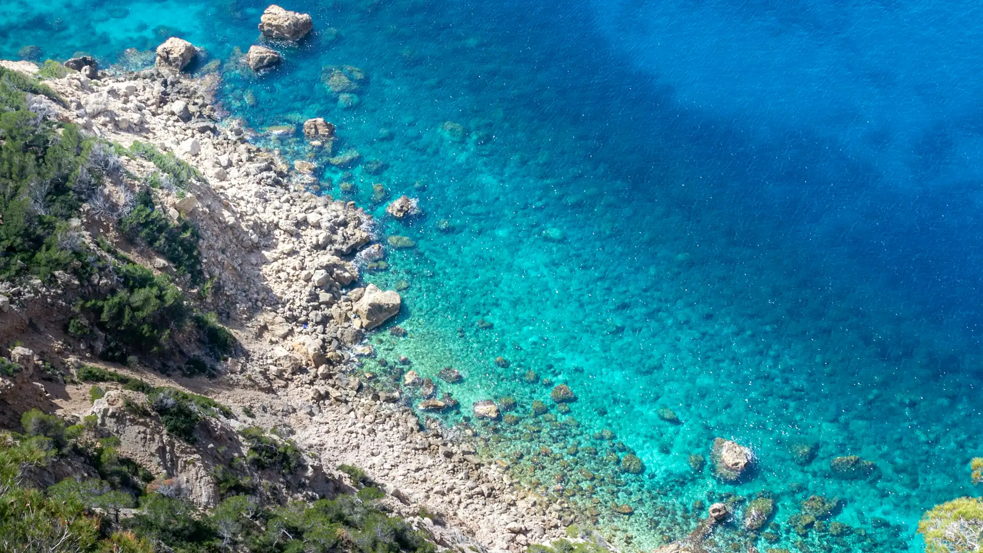A turquoise rocky coast seen from above