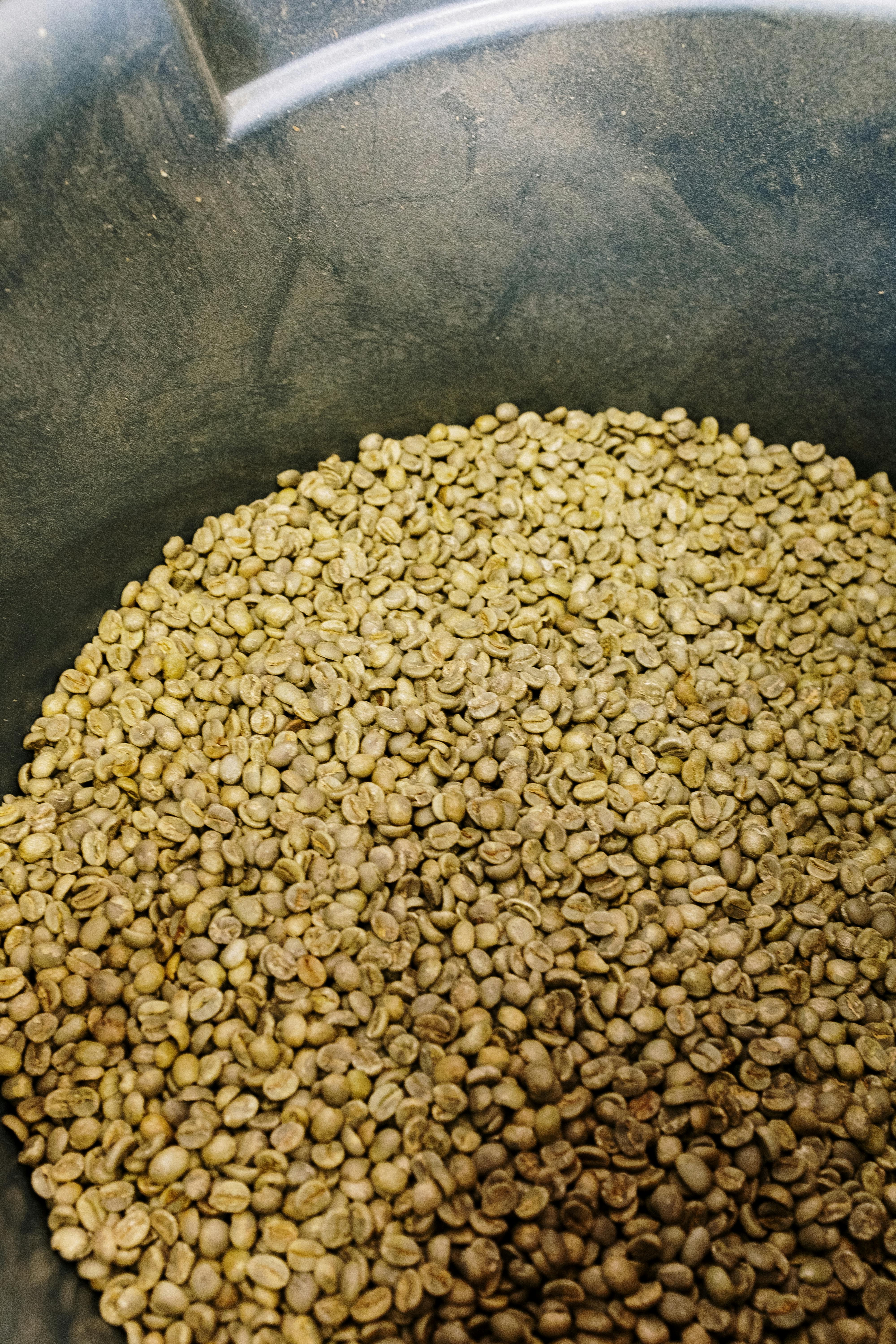 Fuji coffee beans