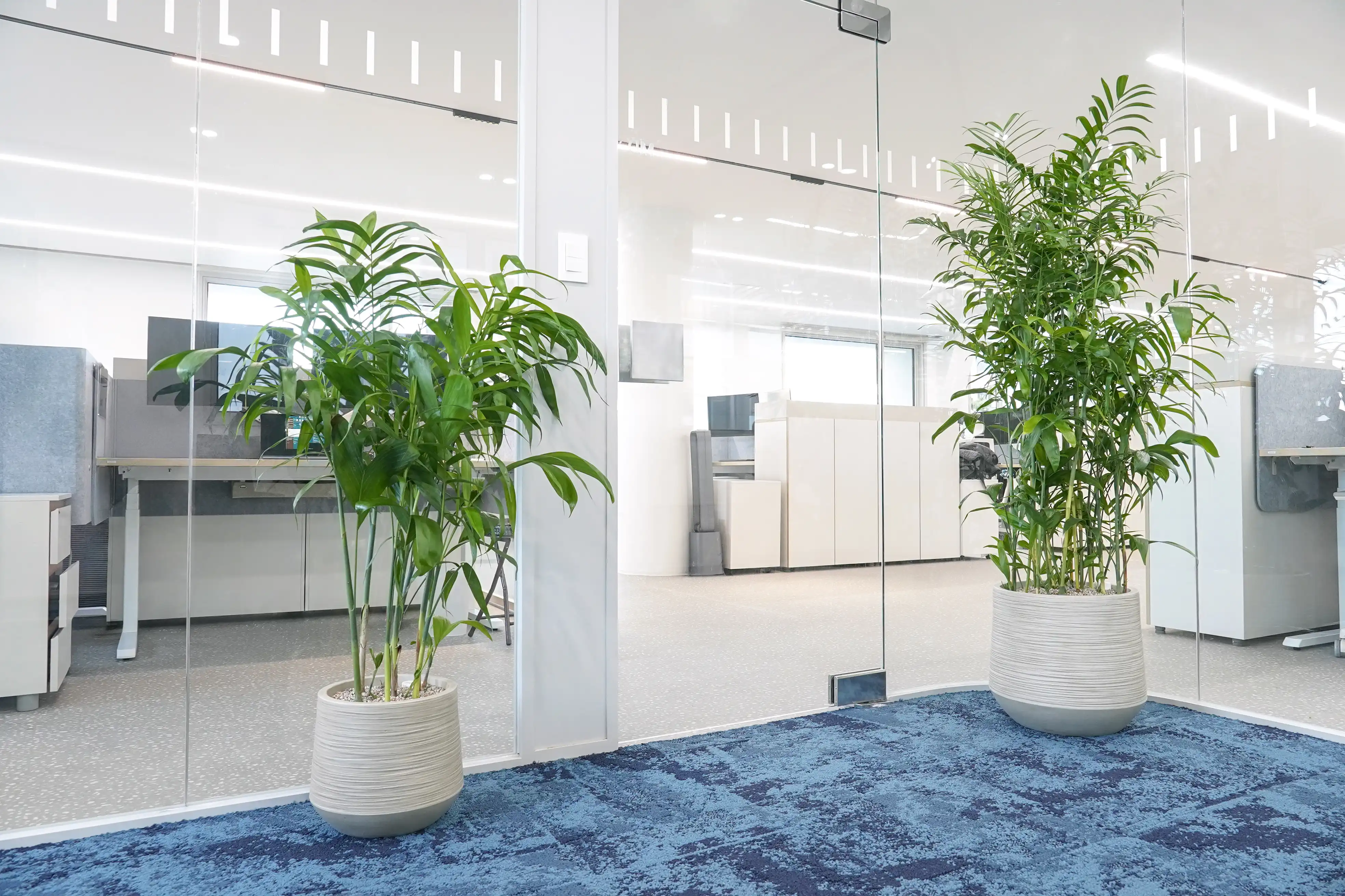 조경업체 에코피플이 설계한 디자인화분