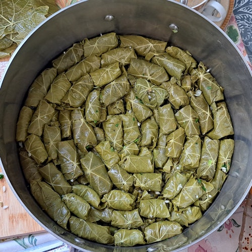 Dolmades