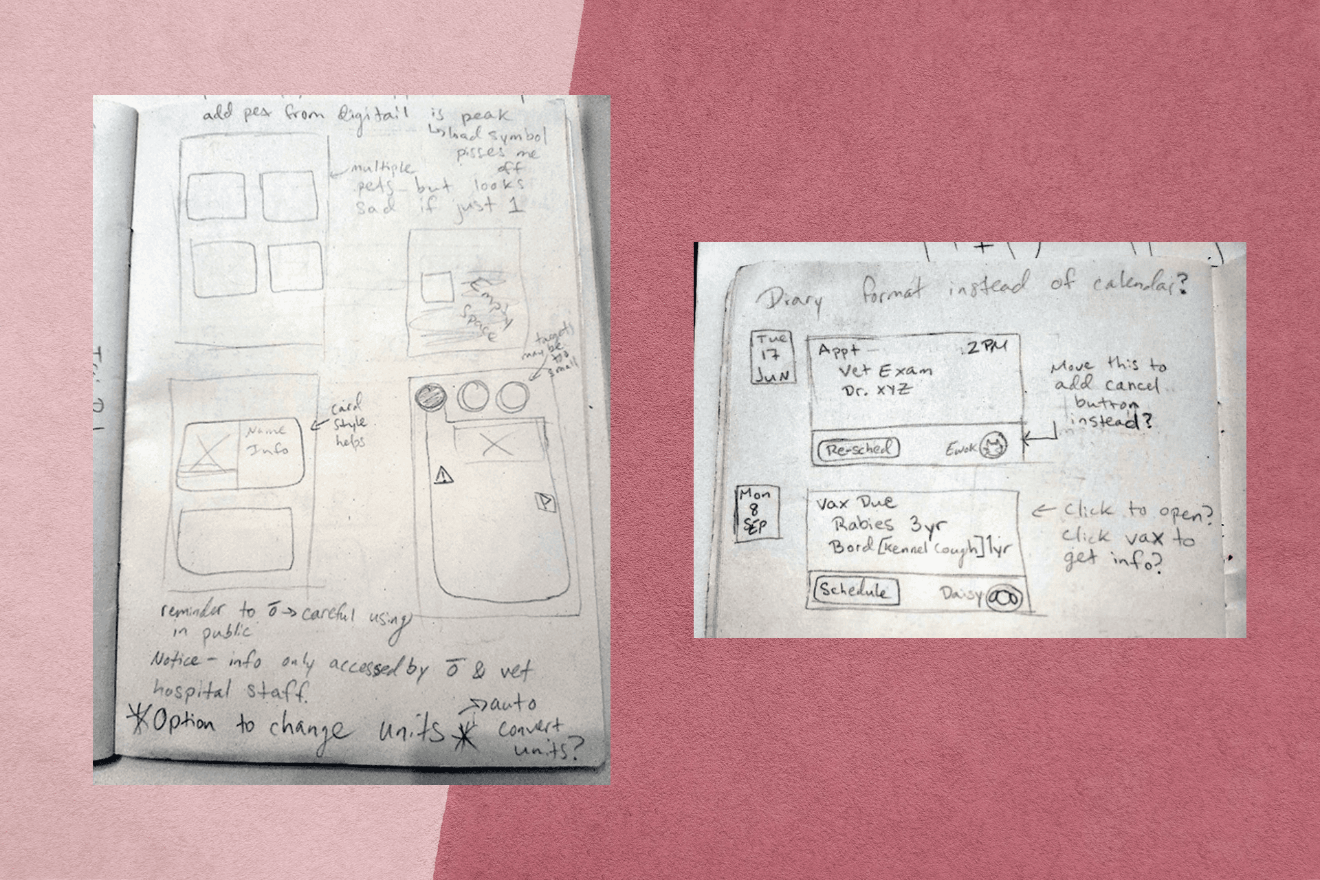 Hand-drawn wireframes of app screens including one depicting initial ideas for the pet profile selection page and possibilities for the diary page featuring cards instead of a calendar format