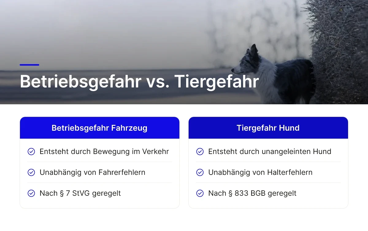 Betriebsgefahr vs. Tiergefahr