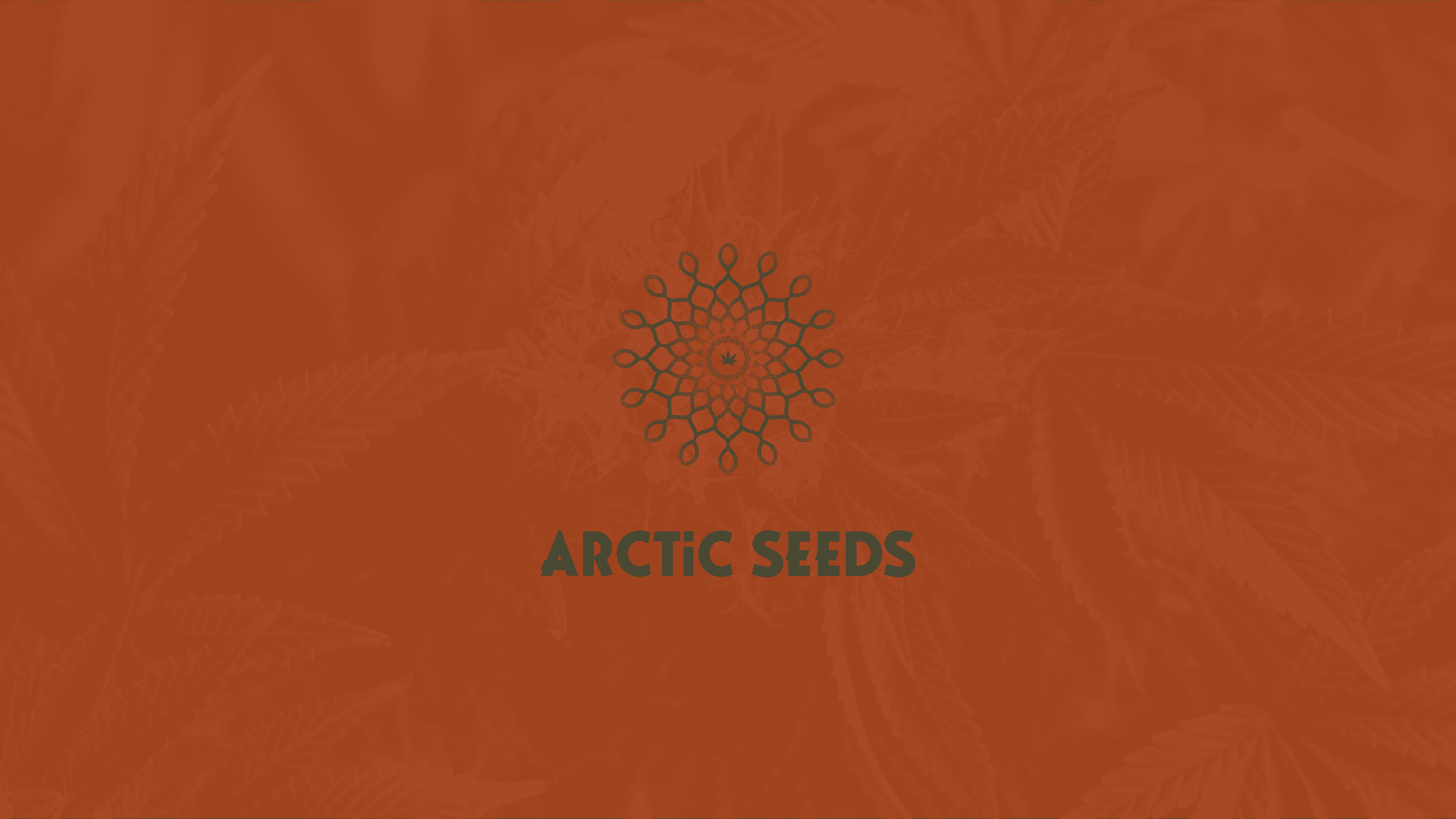Logo design for Arctic Seeds