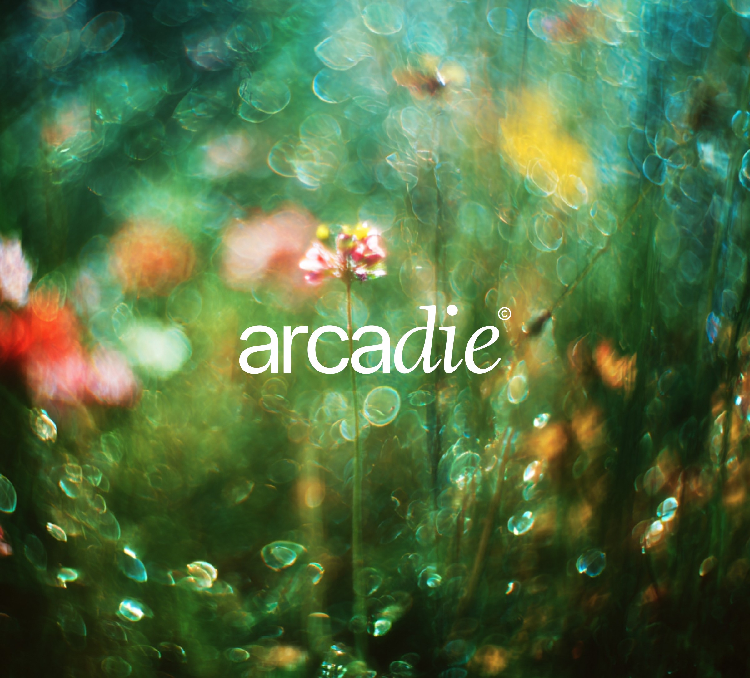 White branded cap with turquoise logo placed on fresh lemons in a red bowl