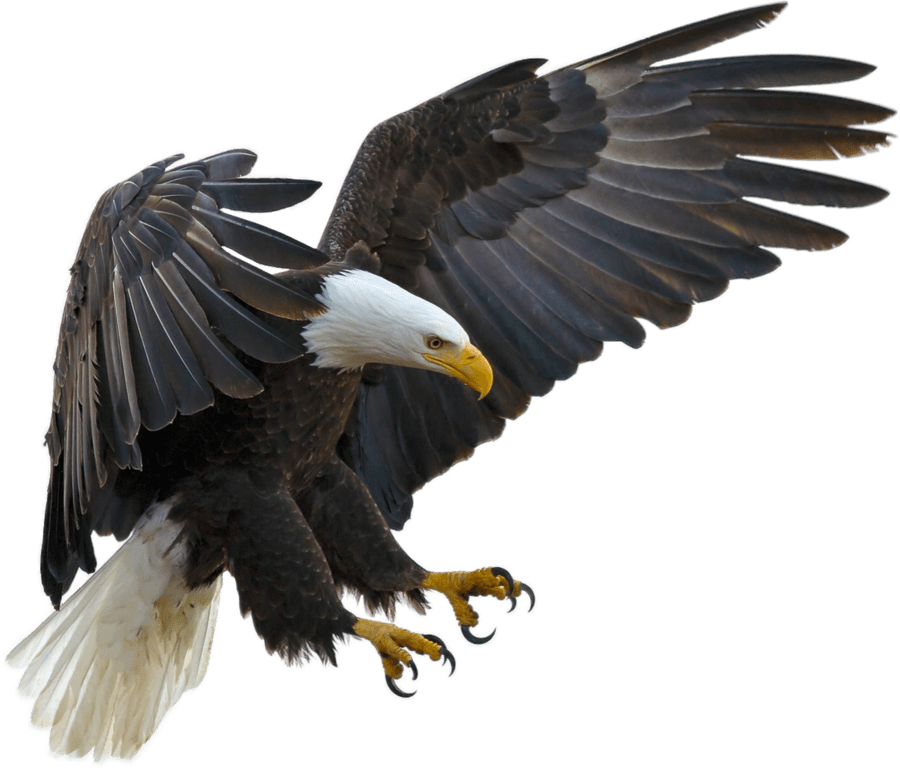 Eagle Eye Design logo — architectural drafting services Western Slope Colorado