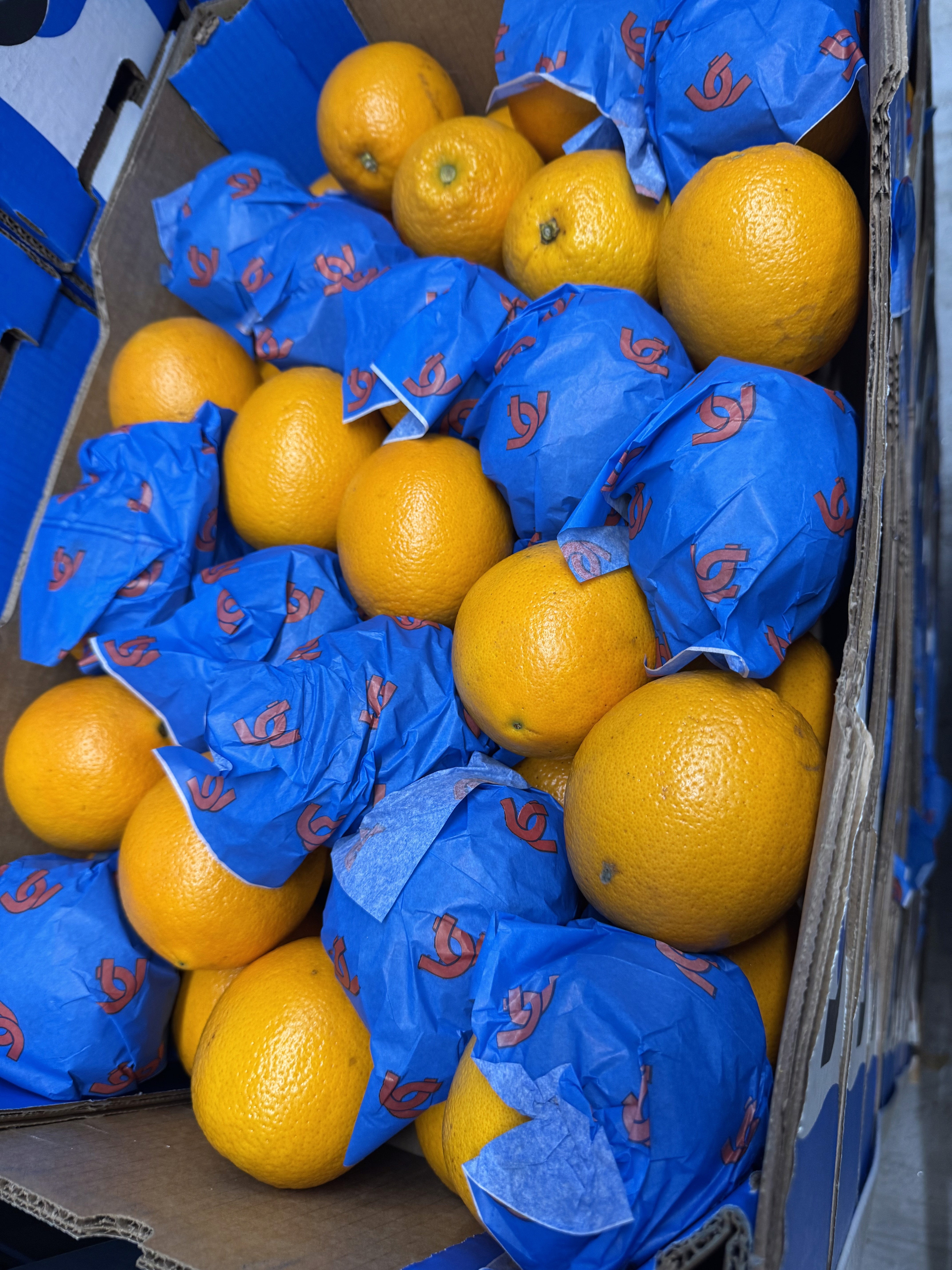 The image featured at the top of the about us page #2