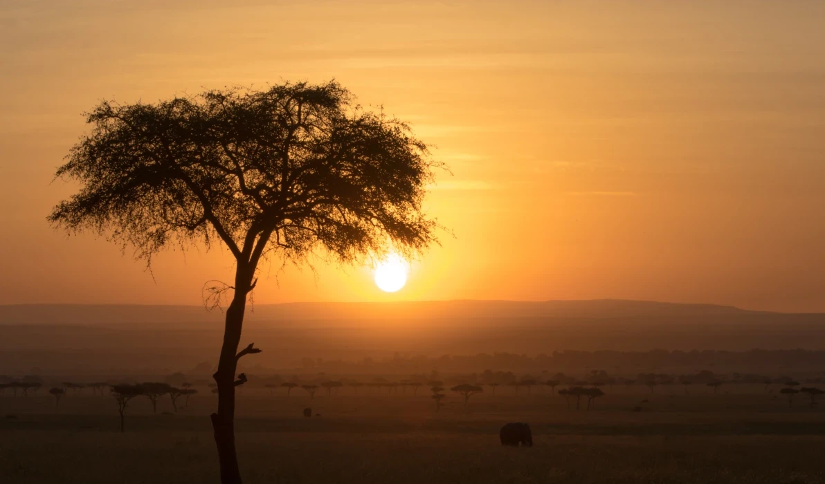 Maasai Mara National Reserve in Kenya