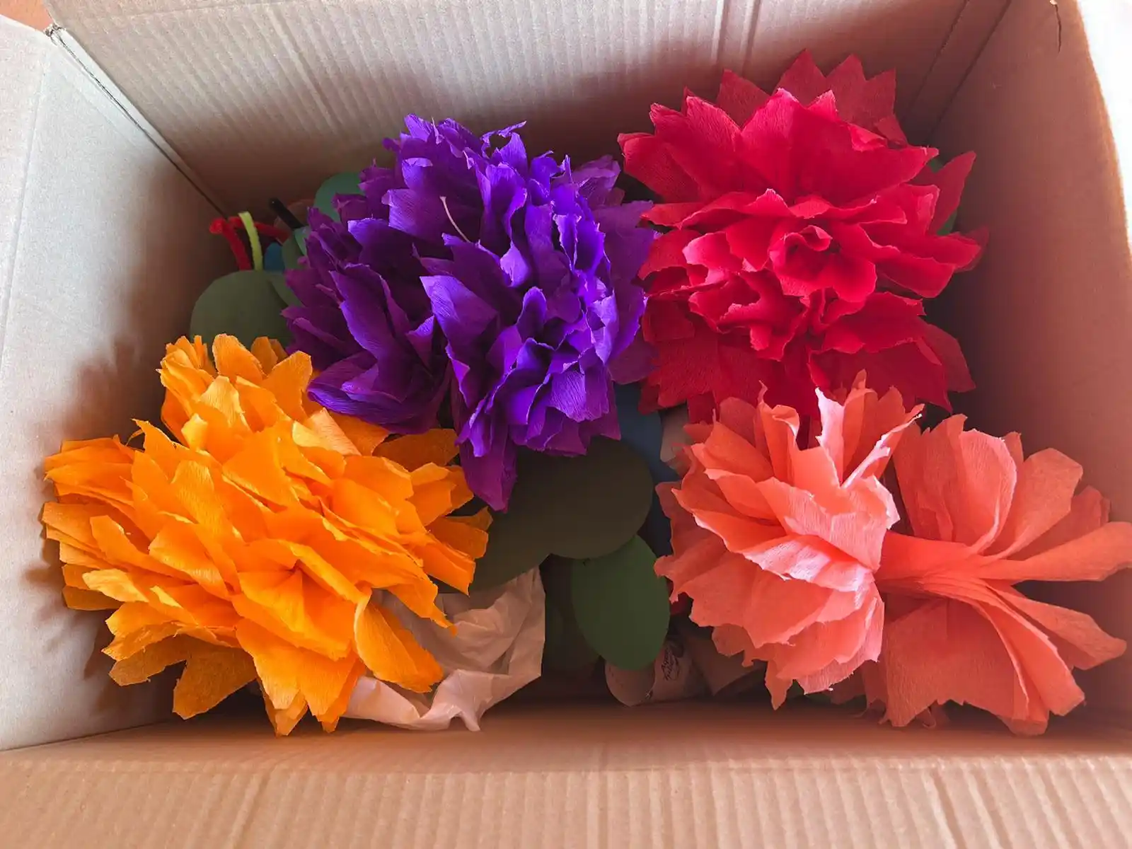 Pompons carnaval arcins