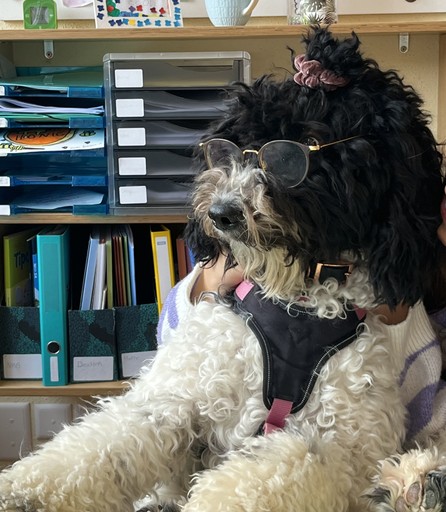 Lovis mit Sonnenbrille