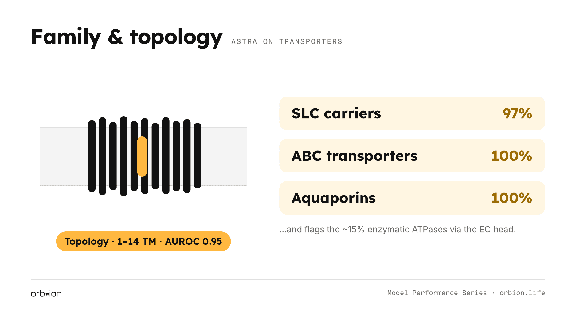 Topology agrees with UniProt annotation at AUROC 0.95, uniformly across a class that ranges from 1 to 14 transmembrane helices